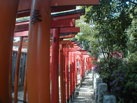 f:id:pecorin911:20050428220053:image