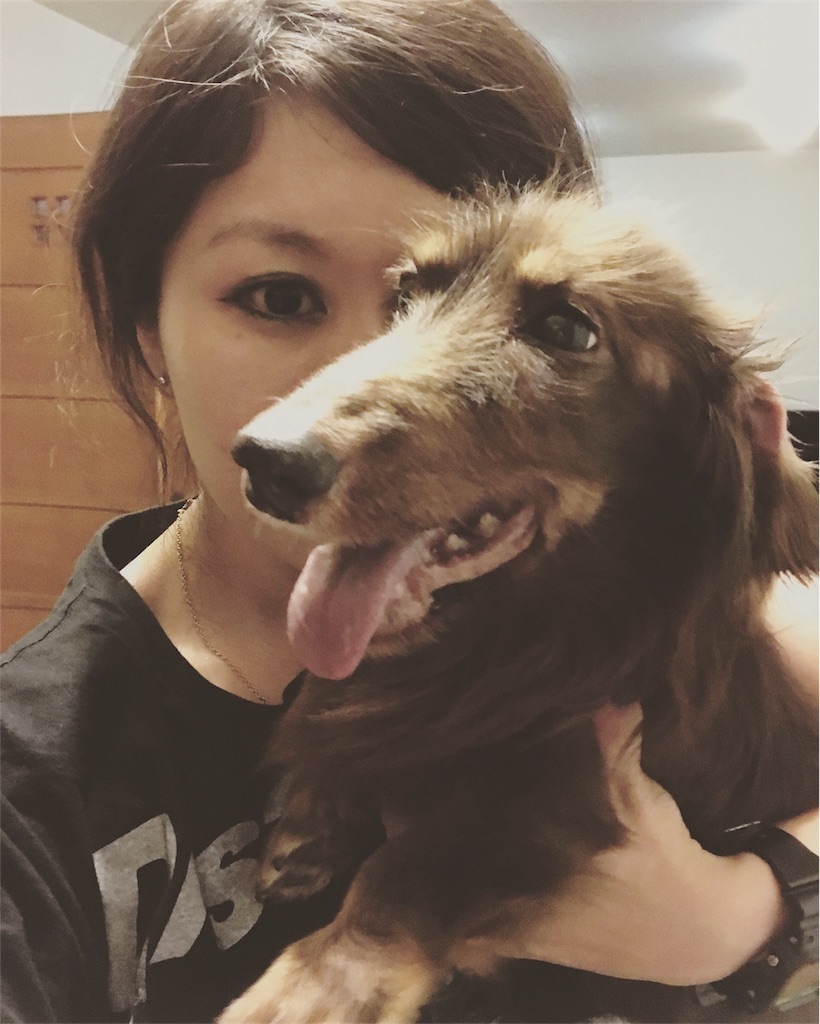 f:id:pecotaranta:20171129003055j:image f:id:pecotaranta:20171129003055j:image