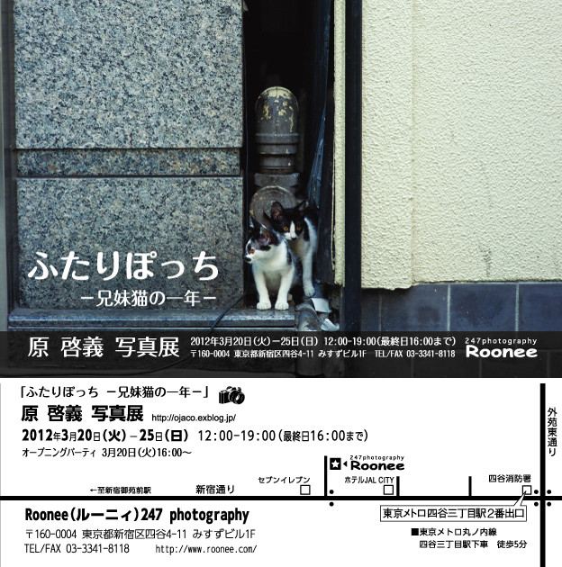 20120319224829