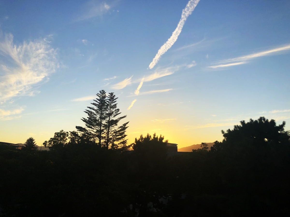 f:id:pedestrianpriority:20210103231152j:plain