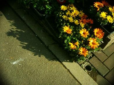 f:id:peeeeco:20090319150542j:image