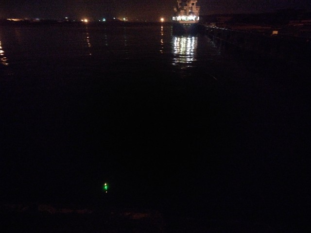 f:id:peemo:20190714232602j:image f:id:peemo:20190714232602j:image