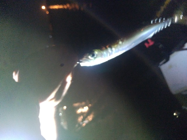 f:id:peemo:20190714232815j:image f:id:peemo:20190714232815j:image