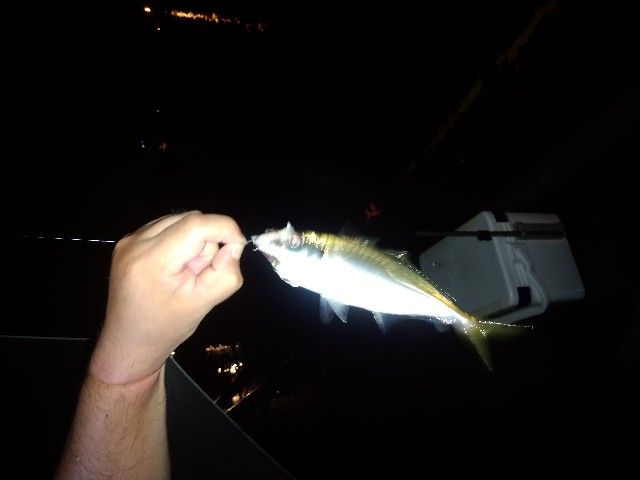 f:id:peemo:20190714232912j:image f:id:peemo:20190714232912j:image