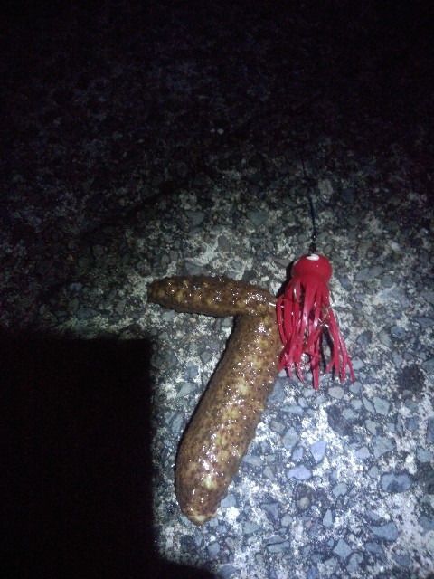 f:id:peemo:20200725222647j:image f:id:peemo:20200725222647j:image