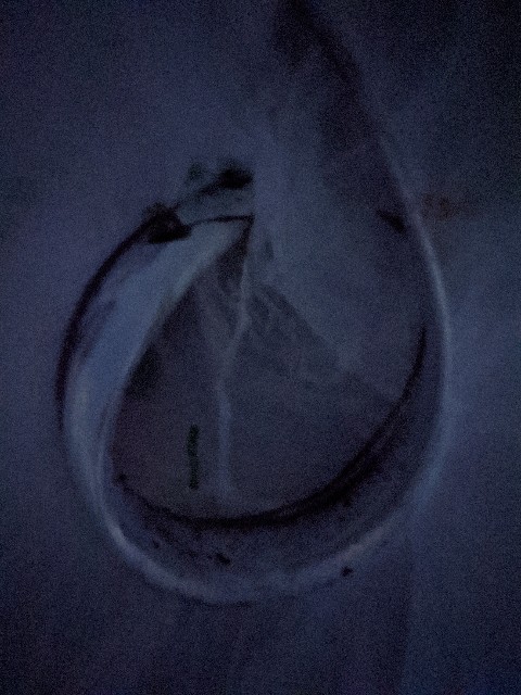 f:id:peemo:20201128221556j:image f:id:peemo:20201128221556j:image