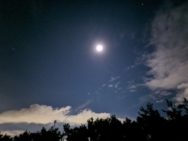 f:id:peemo:20201128221738j:image f:id:peemo:20201128221738j:image