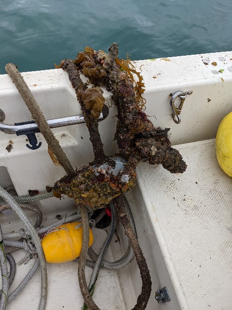 f:id:peemo:20210313124118j:image f:id:peemo:20210313124118j:image