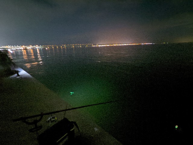 f:id:peemo:20210403200130j:image f:id:peemo:20210403200130j:image