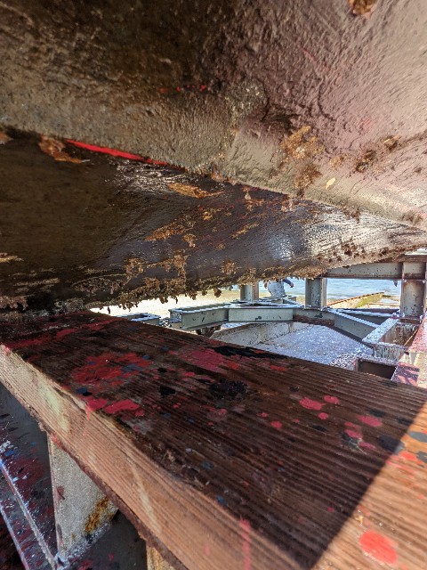 f:id:peemo:20220630110941j:image f:id:peemo:20220630110941j:image