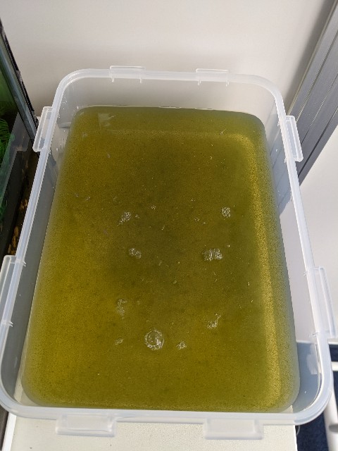 f:id:peemo:20221013200200j:image