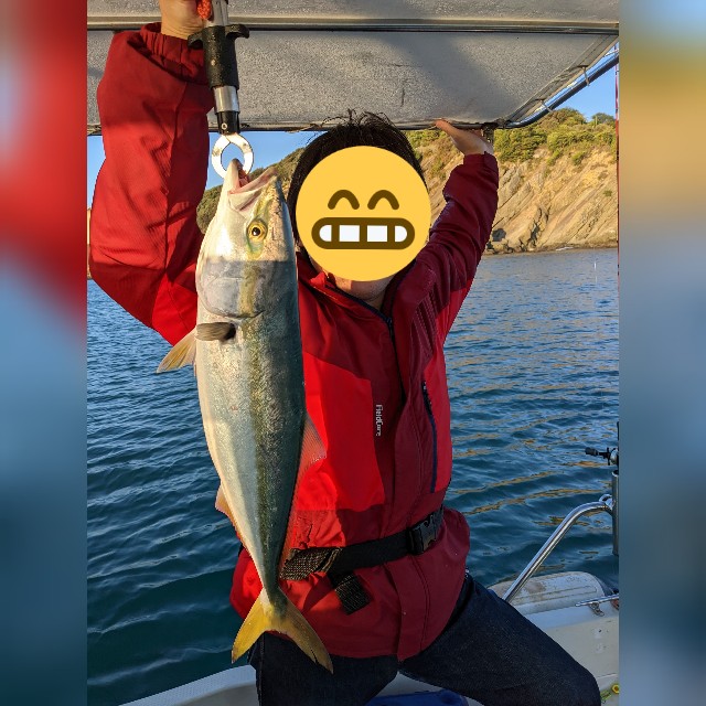 f:id:peemo:20221015112624j:image