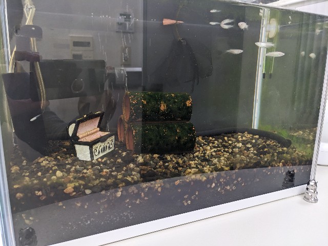 f:id:peemo:20230105172916j:image f:id:peemo:20230105172916j:image