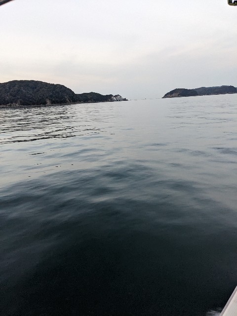 f:id:peemo:20230304184431j:image f:id:peemo:20230304184431j:image