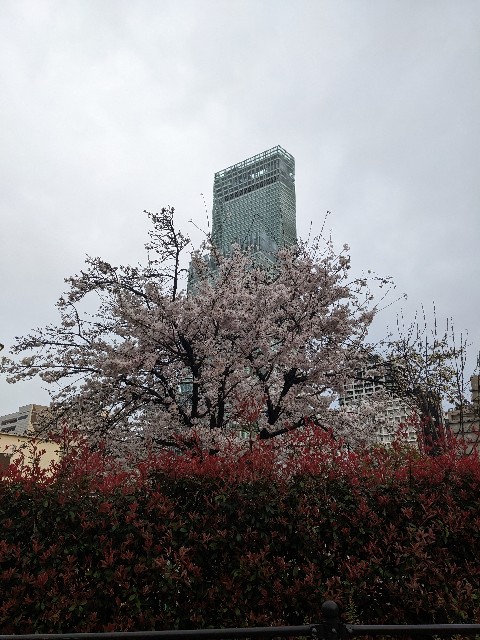 f:id:peemo:20230327172955j:image