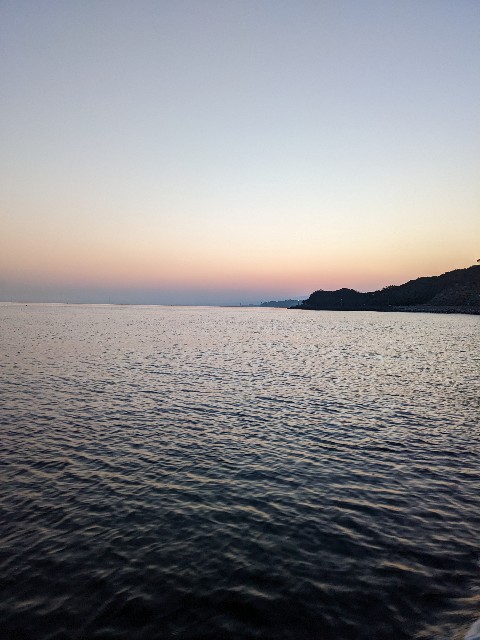 f:id:peemo:20230401055325j:image