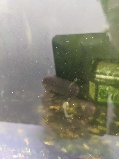 f:id:peemo:20230502211750j:image f:id:peemo:20230502211750j:image