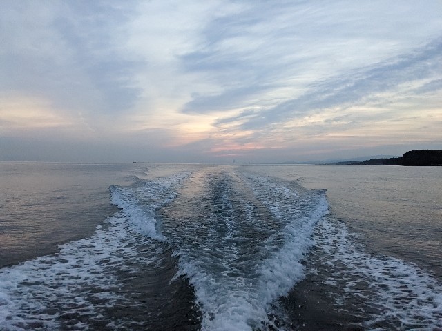 f:id:peemo:20230610125006j:image