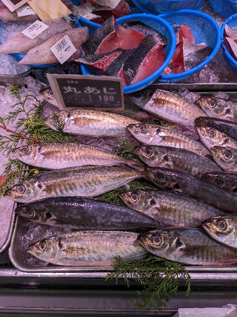 f:id:peemo:20230610141104j:image