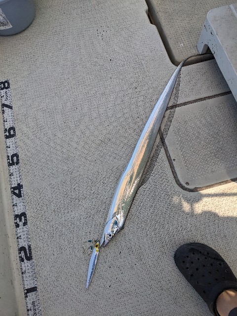 f:id:peemo:20230729144646j:image