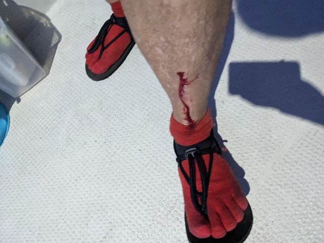 f:id:peemo:20230729144806j:image