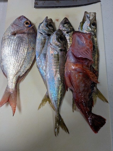 f:id:peemo:20230729145125j:image