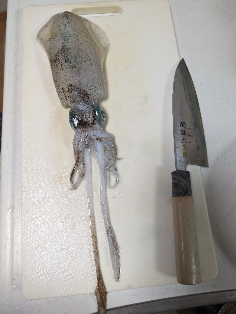 f:id:peemo:20231103190809j:image f:id:peemo:20231103190809j:image