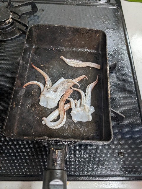 f:id:peemo:20231103191145j:image f:id:peemo:20231103191145j:image