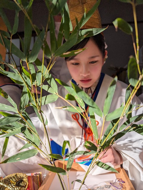 f:id:peemo:20240109091244j:image f:id:peemo:20240109091244j:image