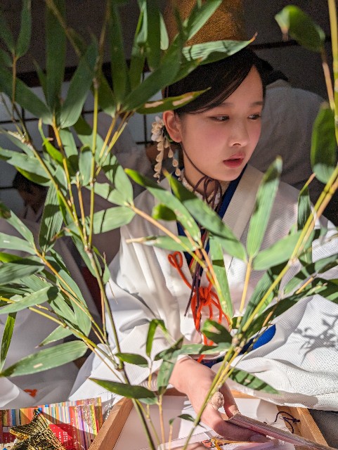 f:id:peemo:20240109091334j:image f:id:peemo:20240109091334j:image