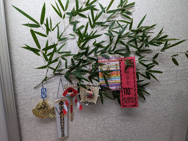 f:id:peemo:20240109093042j:image f:id:peemo:20240109093042j:image