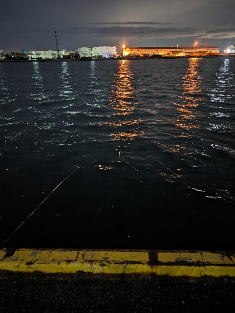 f:id:peemo:20240224232745j:image