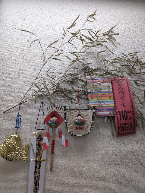 f:id:peemo:20250110105726j:image
