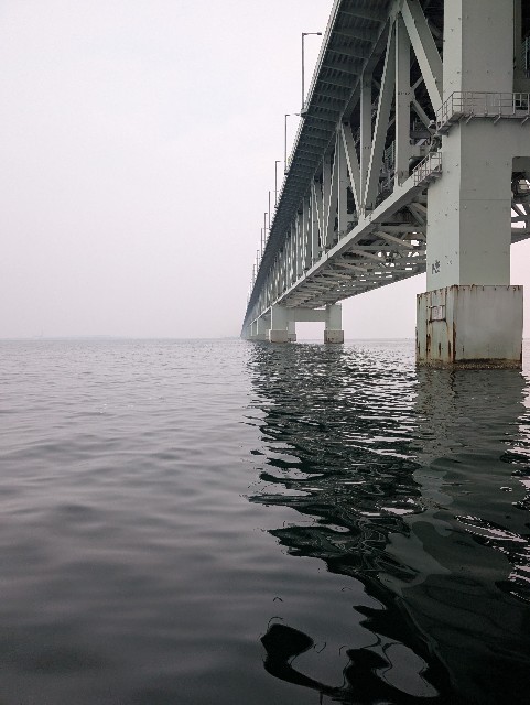 f:id:peemo:20250705124644j:image