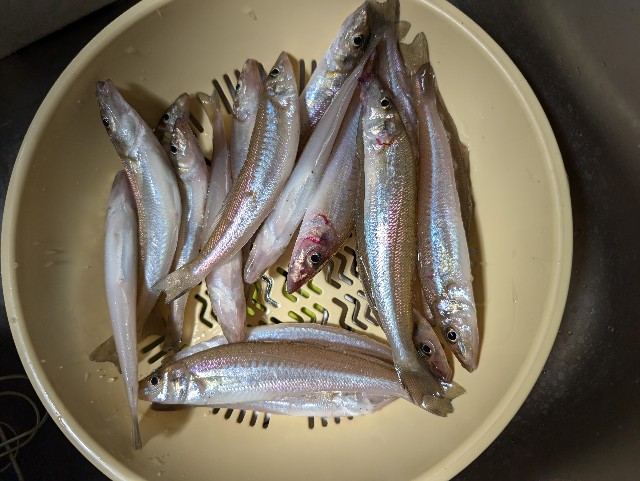 f:id:peemo:20250803105226j:image