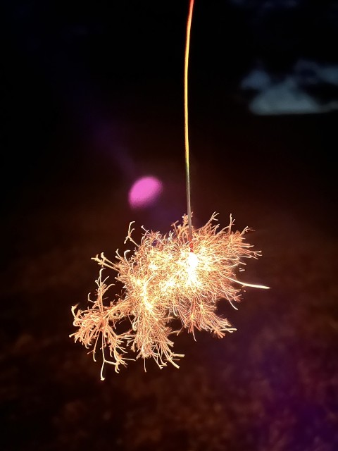 f:id:peemo:20250811162205j:image f:id:peemo:20250811162205j:image