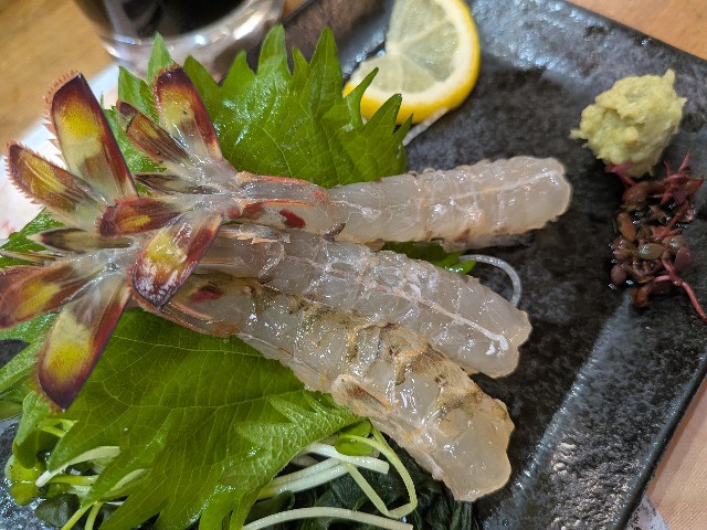 f:id:peemo:20250814123225j:image