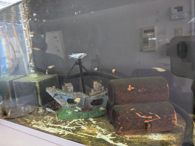 f:id:peemo:20251010142744j:image