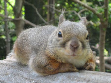f:id:peepooblue:20080507123646j:image