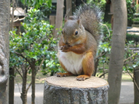 f:id:peepooblue:20080507124152j:image