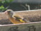 20130429054841