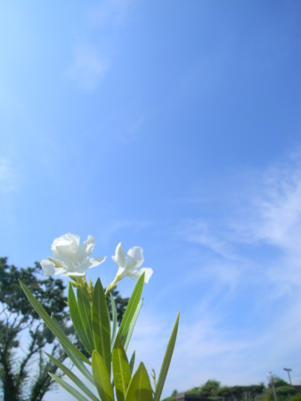 f:id:peepooblue:20130721222137j:image f:id:peepooblue:20130721222137j:image