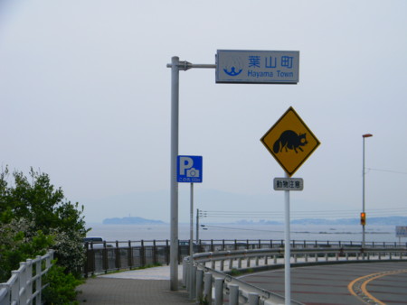 f:id:peepooblue:20140413224940j:image f:id:peepooblue:20140413224940j:image