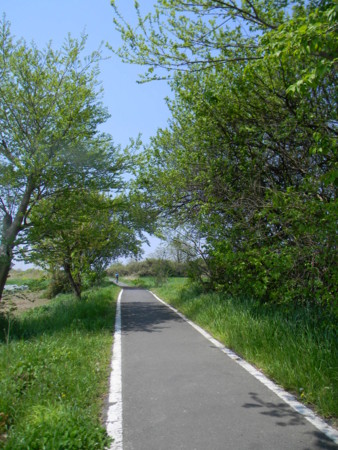 20140426221456