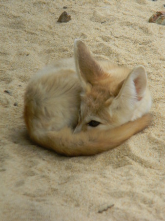 f:id:peepooblue:20140924202612j:image