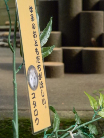f:id:peepooblue:20150703211558j:image