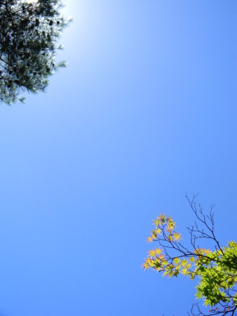 f:id:peepooblue:20150714213721j:image