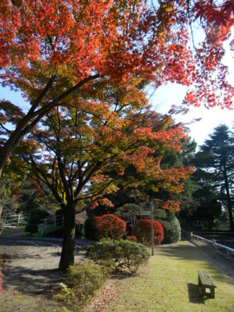 20161115141806