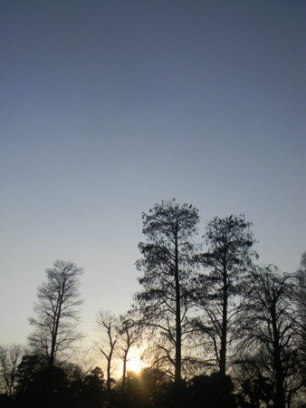 f:id:peepooblue:20180121145230j:image f:id:peepooblue:20180121145230j:image