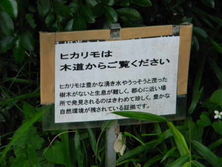 f:id:peepooblue:20180612054509j:image f:id:peepooblue:20180612054509j:image